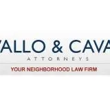  Lawyer Vincent A. Cavallo