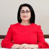  Lawyer Karina Arzumanova