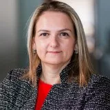  Lawyer Yelena Gurevich